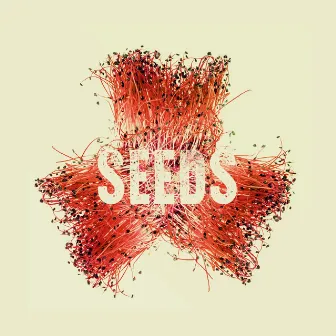 Seeds by Jay Jules