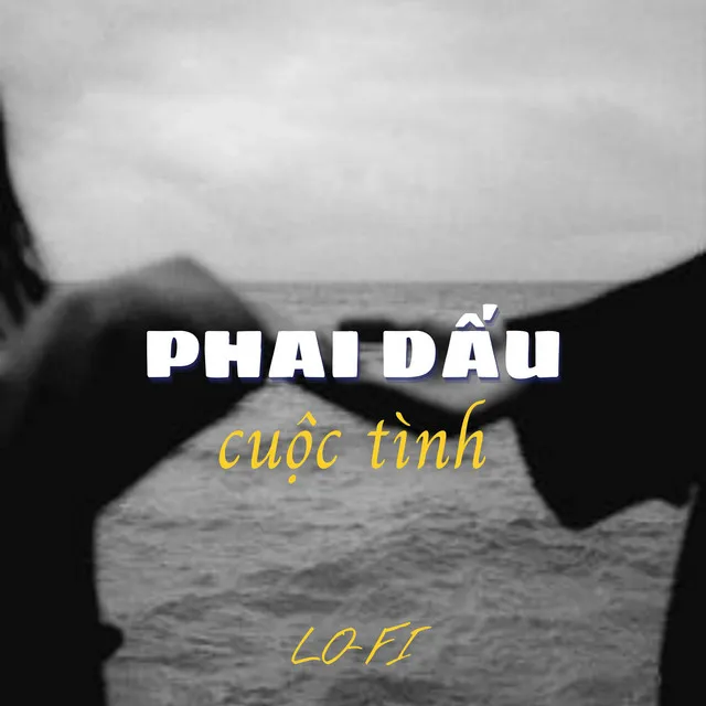 Phai Dấu Cuộc Tình - Lofi