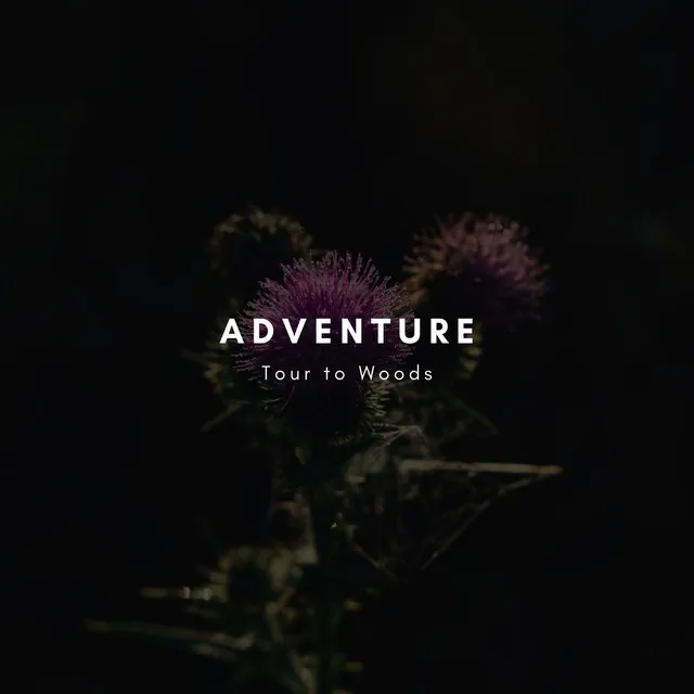 Adventure Tour To Woods - Original Mix