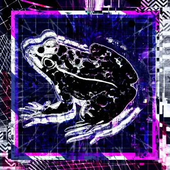 breakcore is a good way to get laid by toadmilk