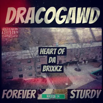 Heart Of Da Brixkz by Dracogawd