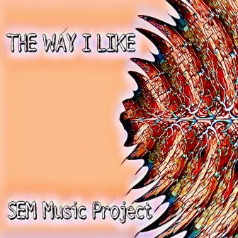 The Way I like by SEM Music Project