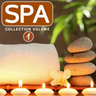 Spa Collection, Vol. 1 (Relax, Healing and Well Being Your Life with Spa Treatments) by Zenitude Specialist