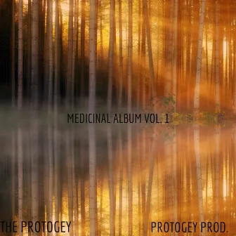 Medicinal Album, Vol. 1 by The Protogey