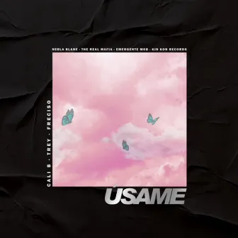 Úsame by Trey