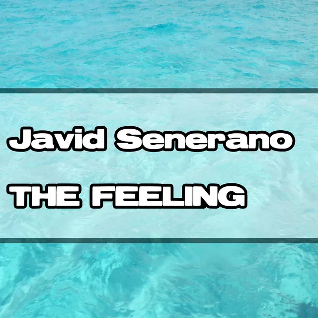 The Feeling - Radio Version