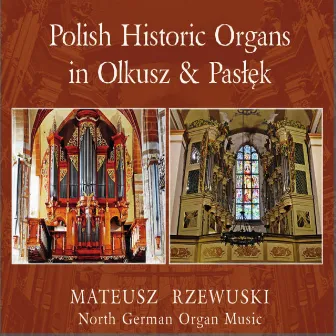 Polish Historic Organs in Olkusz & Paslek (Mateusz Rzewuski) by Classical Sound Studio