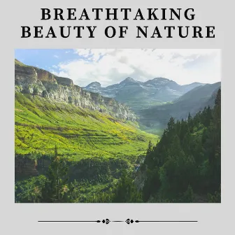 Breathtaking Beauty of Nature by Organic Nature Sounds