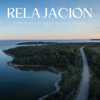 Relajación: Flujo De Río Con Cantos Suaves De Pájaros Vol. 1 by 