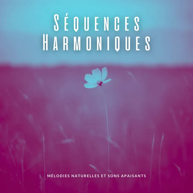 Séquences Harmoniques: Mélodies Naturelles et Sons Apaisants