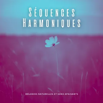 Séquences Harmoniques: Mélodies Naturelles et Sons Apaisants by Musicothérapie