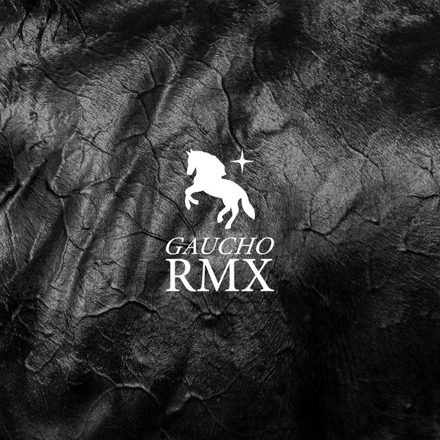 GAUCHO (feat. BINHO & Tubab) [REMIX]