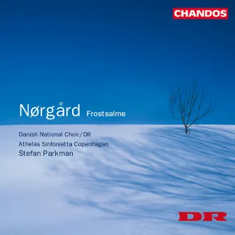 Nørgård: Singe die Gärten, Wie ein Kind, Tre hymniske ansatser, Flos ut rosa floruit, Gaudet mater & Frostsalme by Danish National Radio Symphony Choir