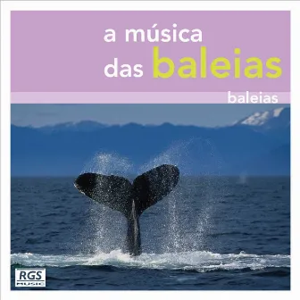 A Música Das Baleias by Marcelo A. Rodríguez