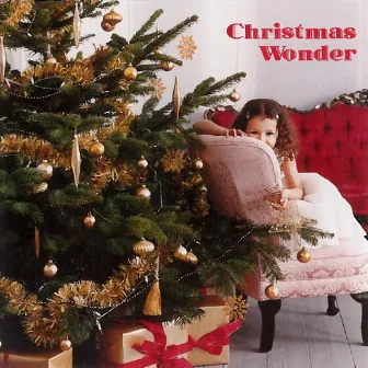 Christmas Wonder by Attila Fias