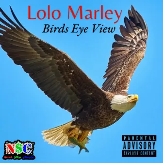 Birds Eye View by Lolo Marley