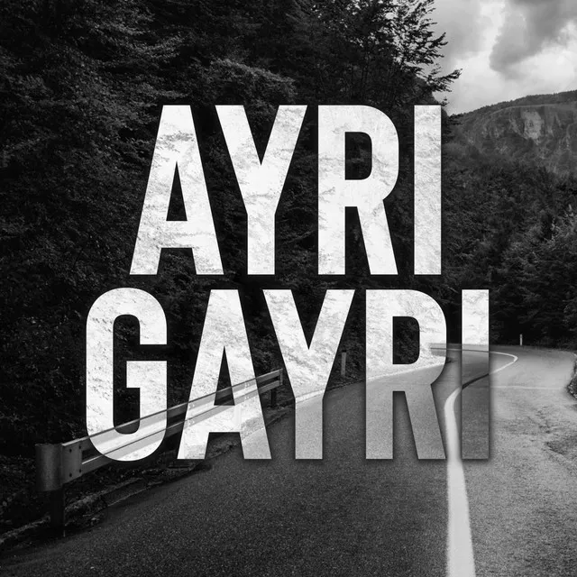 Ayrı Gayrı