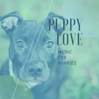 Puppy Love: Music for Puppies (Deluxe Edition) by Soothing Dog Sounds