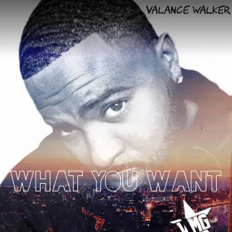 What You Want by Valance Walker