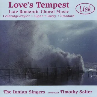 Love's Tempest by Unknown Artist