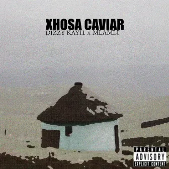 XHOSA CAVIAR by Dizzy Kayi1