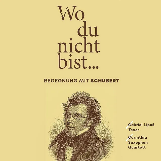 Winterreise, D. 911: NO. 12. Einsamkeit