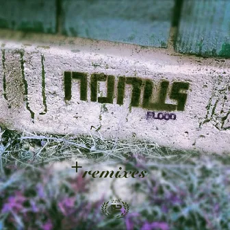 Flood Remixes by Nonus