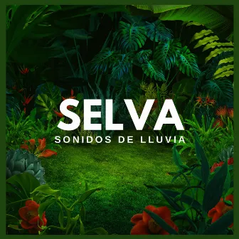 Selva: Sonidos de Lluvia by Sonidos De La Selva