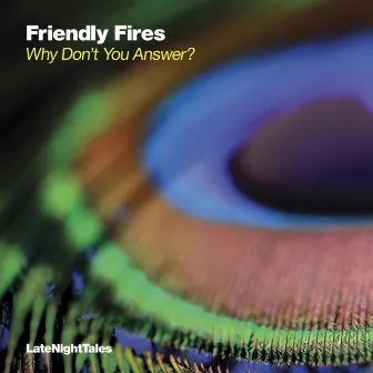 Why Don't You Answer? by Friendly Fires