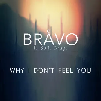 Why I Don't Feel You by BRÅVO