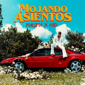 Mojando Asientos (feat. Feid) by Maluma