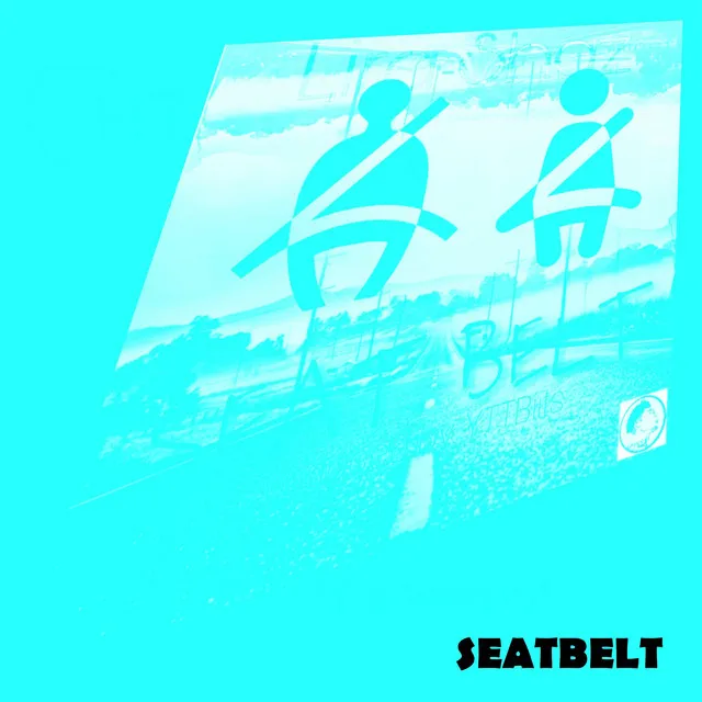 Seatbelt