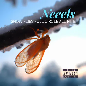 Snow Flies Full Circle All Nite by Neeels