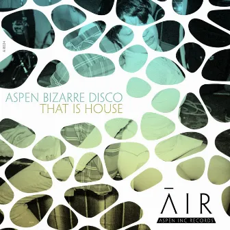 That Is House by aspen bizarre disco