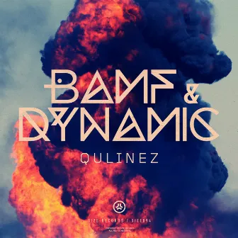 Bamf/Dynamic by Qulinez