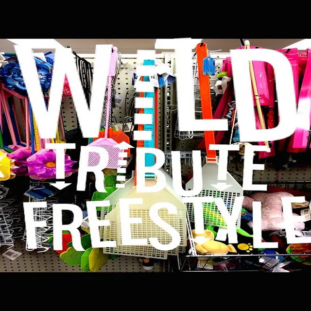 WiLD Tribute (feat. Passion Hi-Fi)