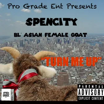 Turn Me Up by Spencity