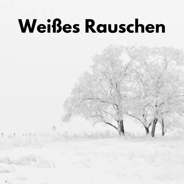 Weißes Rauschen