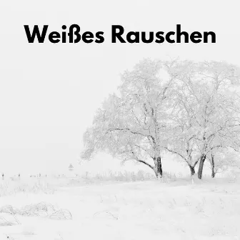 Weißes Rauschen by Weiße Rauschen