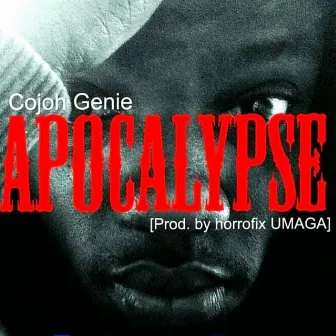 Apocalypse by Cojoh Genie