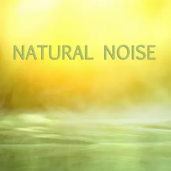 Natural Noise by Sleep Sounds of Nature