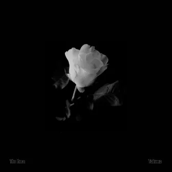 The Rose by TAKUMA