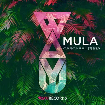 Cascabel Puga by Mula (FR)