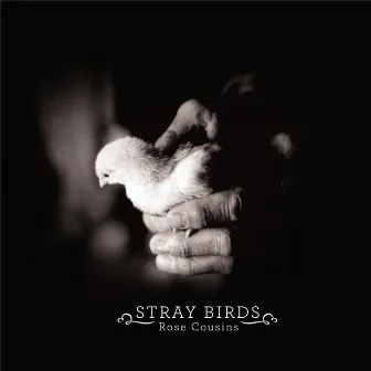 Stray Birds by Rose Cousins