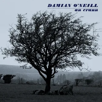 An Crann by Damian O'Neill