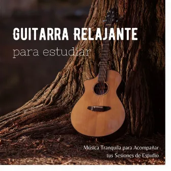 Guitarra Relajante para Estudiar: Música Tranquila para Acompañar tus Sesiones de Estudio by Mario Guitarra