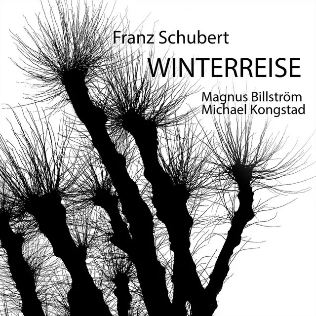 Winterreise, D.911: NO. 5. Der Lindenbaum