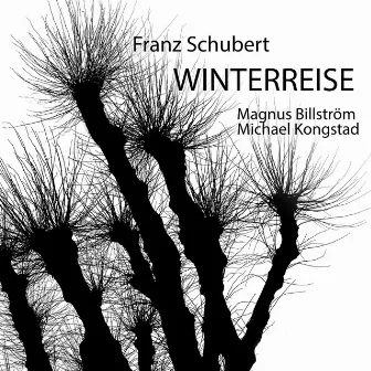 Schubert: Winterreise by Magnus Billström