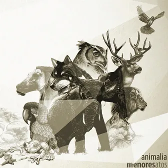 Animalia by menores atos