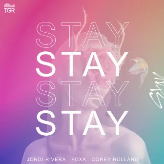 STAY by Corey Holland